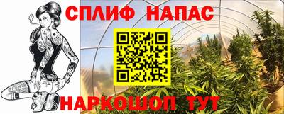 PSILOCYBIN Ипатово