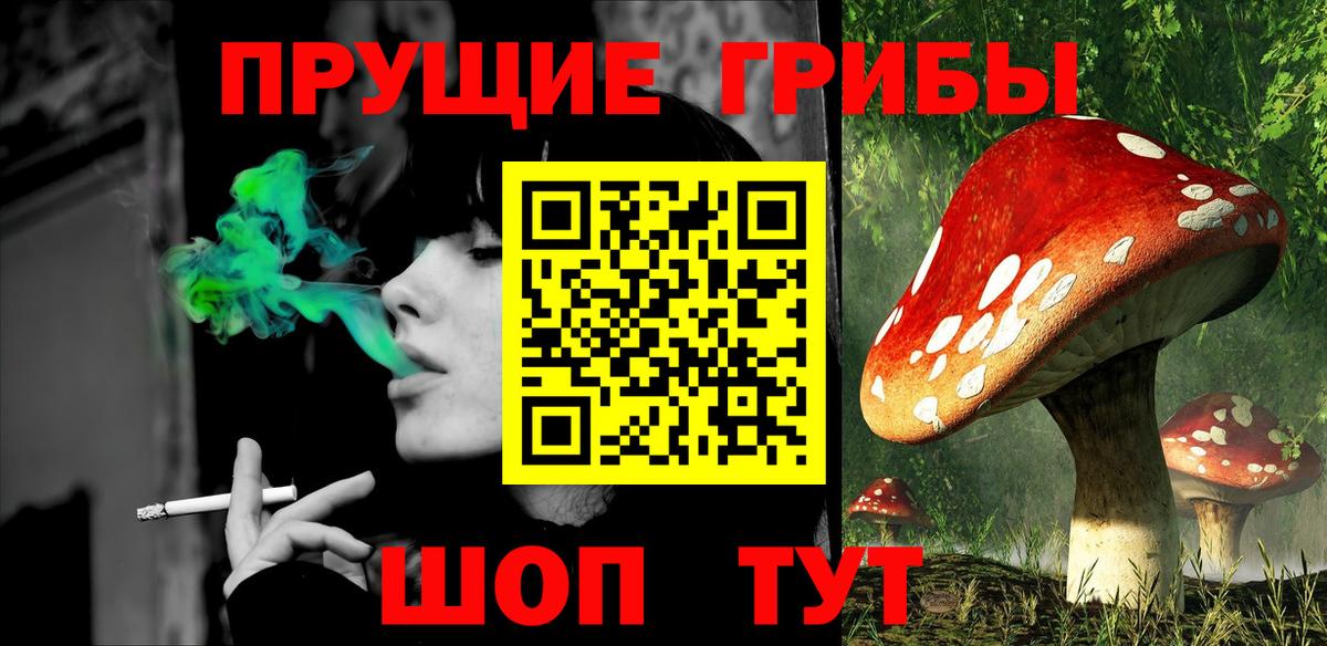 Галлюциногенные грибы Cubensis  Галлюциногенные грибы мицелий  Гатчина  Вход с VPN 