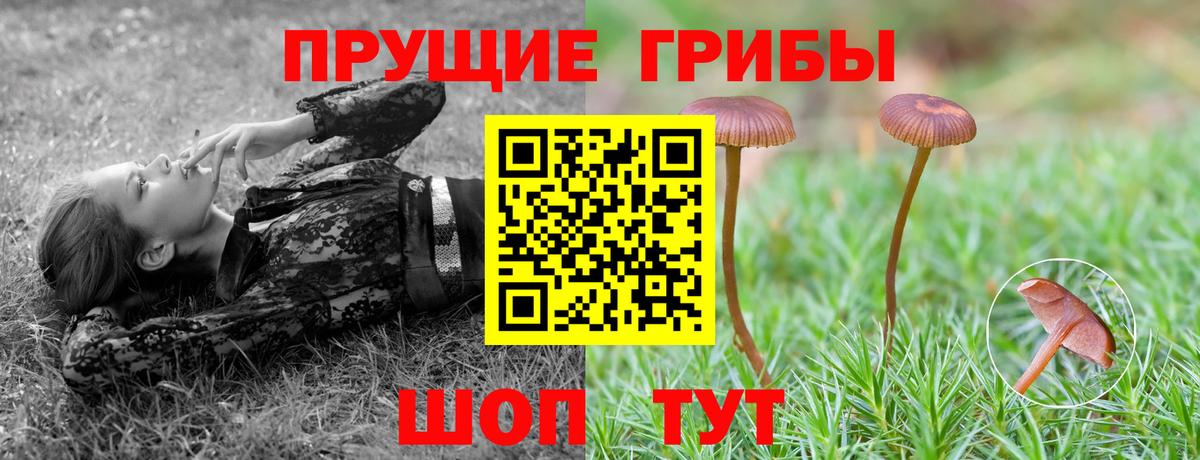 Псилоцибиновые грибы MAGIC MUSHROOMS Гатчина